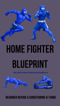 HOME FIGHTER BLUEPRINT