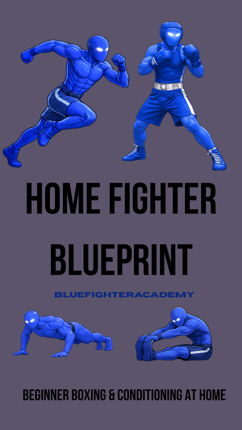 HOME FIGHTER BLUEPRINT